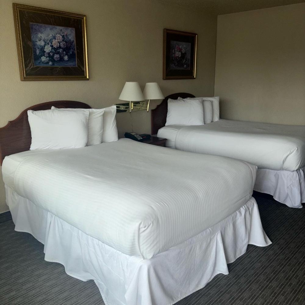 Unique Suites Hotel Image 14