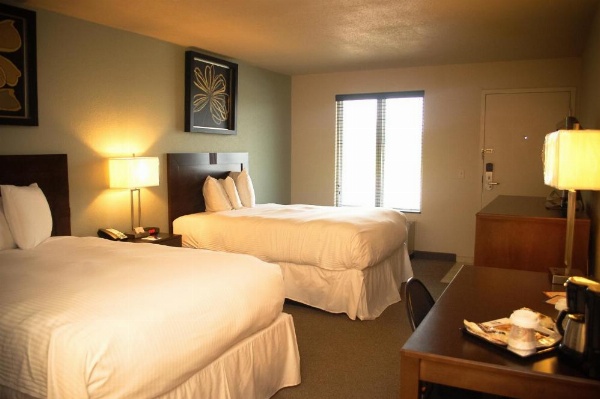 Unique Suites Hotel image 12