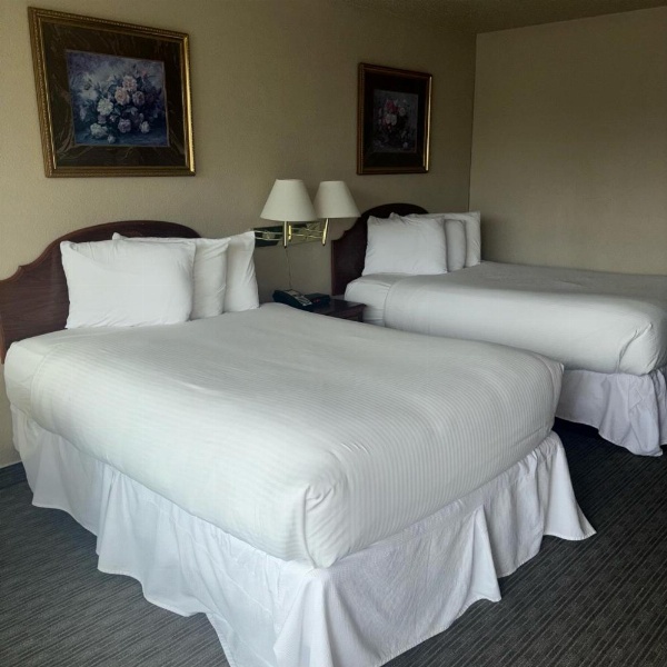 Unique Suites Hotel image 14