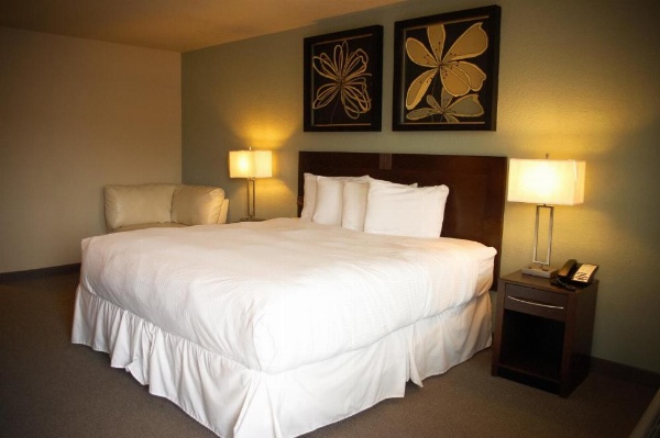 Unique Suites Hotel image 8