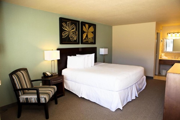 Unique Suites Hotel image 9